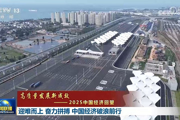 2025年度中国乘用车企业双积分核算结果发布